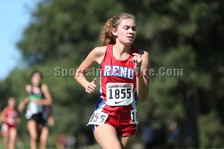 2015SIxcHSD1-241.JPG - 2015 Stanford Cross Country Invitational, September 26, Stanford Golf Course, Stanford, California.